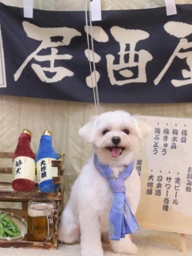 20240622うるちゃん